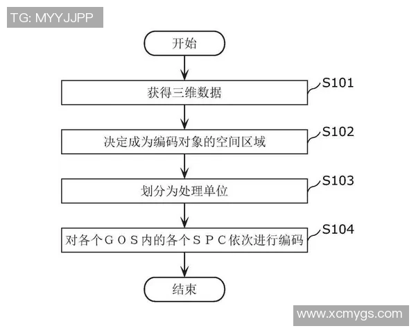 深入解析足球星卡编号体系揭示球员数据与收藏价值关联